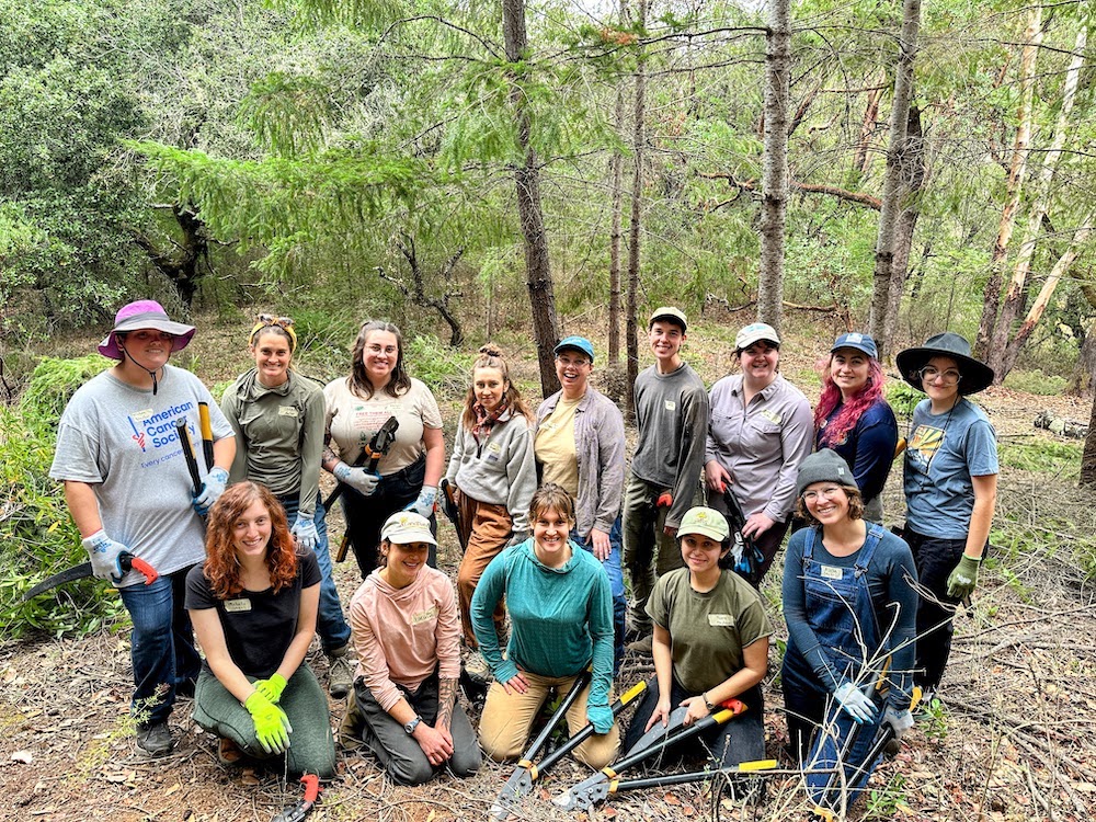 LandPaths Leads Forestry Project for Women and Nonbinary Participants
